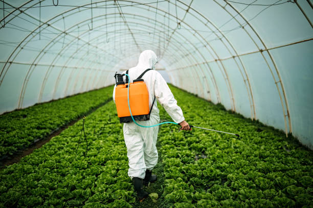 Best Local Pest Control Services  in North Haverhill, NH