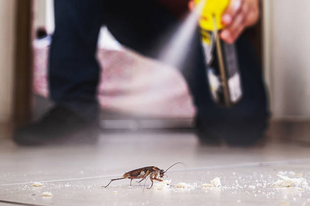 Best Bed Bug Extermination  in North Haverhill, NH